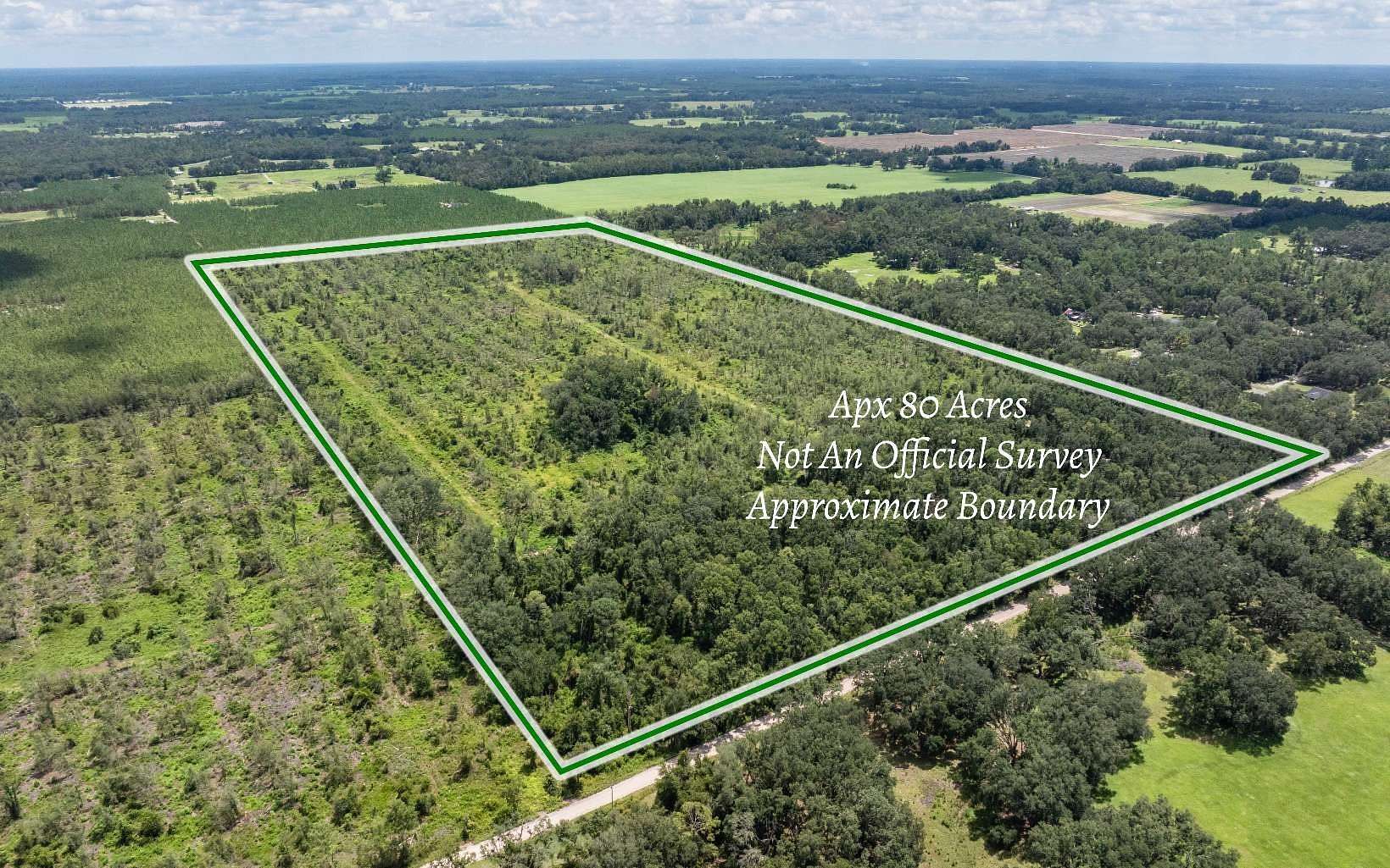 80 Acres of Land for Sale in Live Oak, Florida