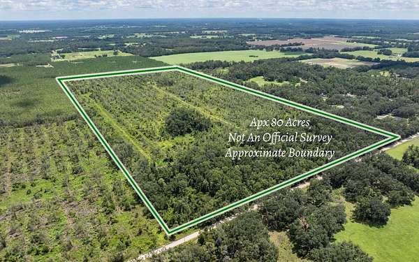 80 Acres of Land for Sale in Live Oak, Florida