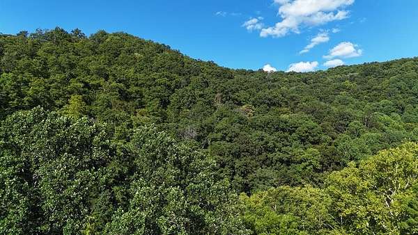 25.5 Acres of Land for Sale in Emmalena, Kentucky