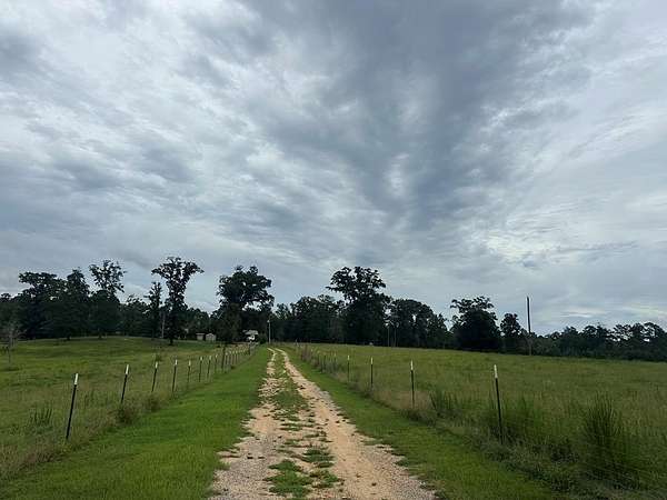 38 Acres of Land for Sale in Richton, Mississippi