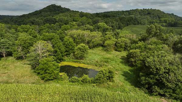 79.5 Acres of Recreational Land & Farm for Sale in Richland Center, Wisconsin