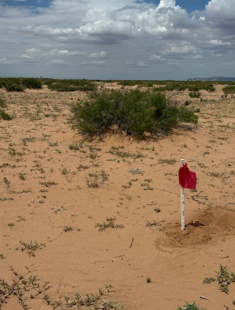 0.5 Acres of Residential Land for Sale in El Paso, Texas