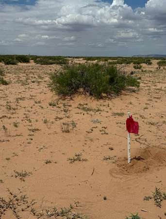 0.5 Acres of Residential Land for Sale in El Paso, Texas