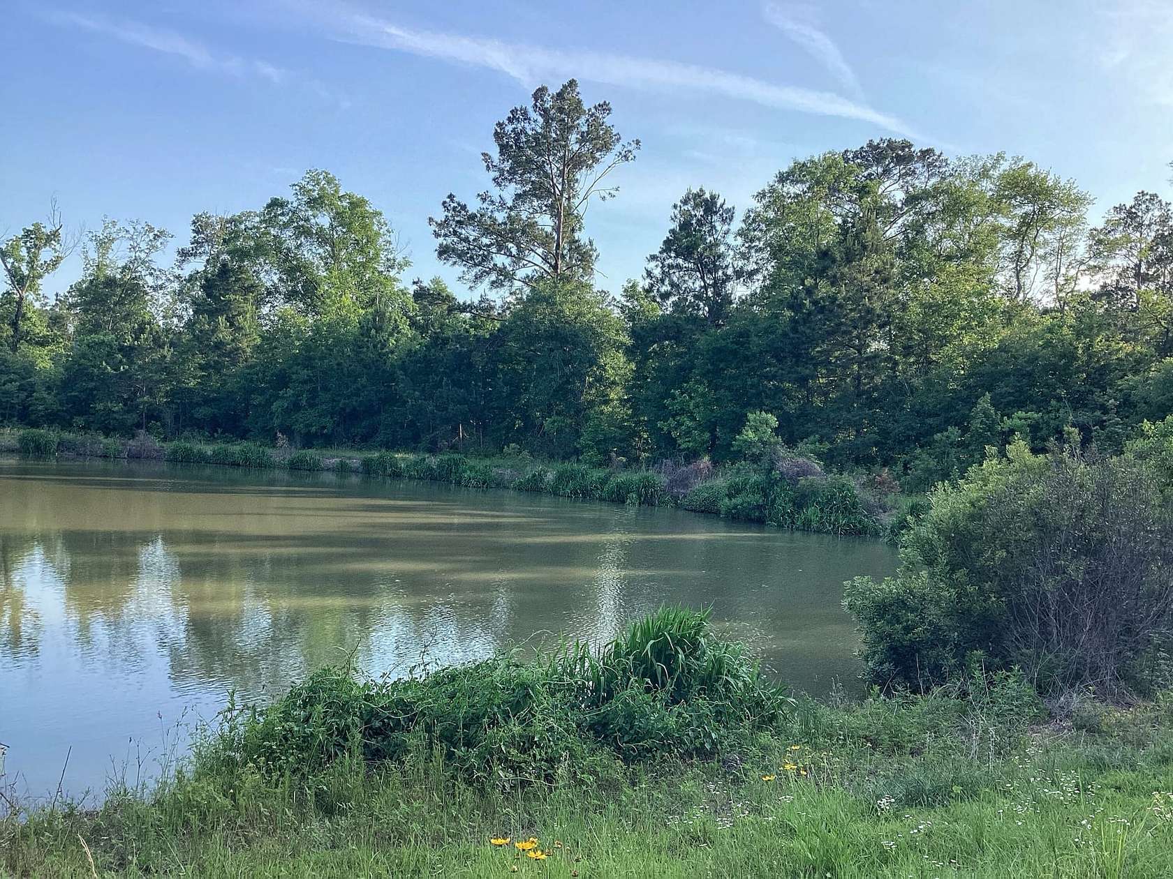 80 Acres of Land with Home for Sale in DeRidder, Louisiana