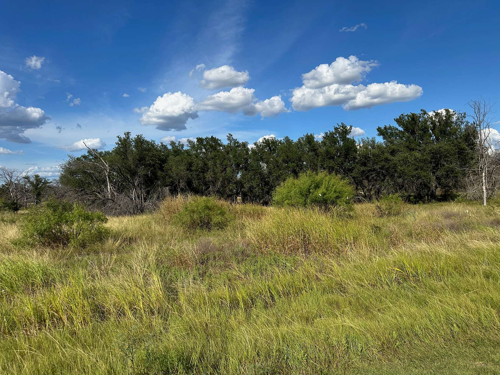 0.73 Acres of Residential Land for Sale in Brownwood, Texas