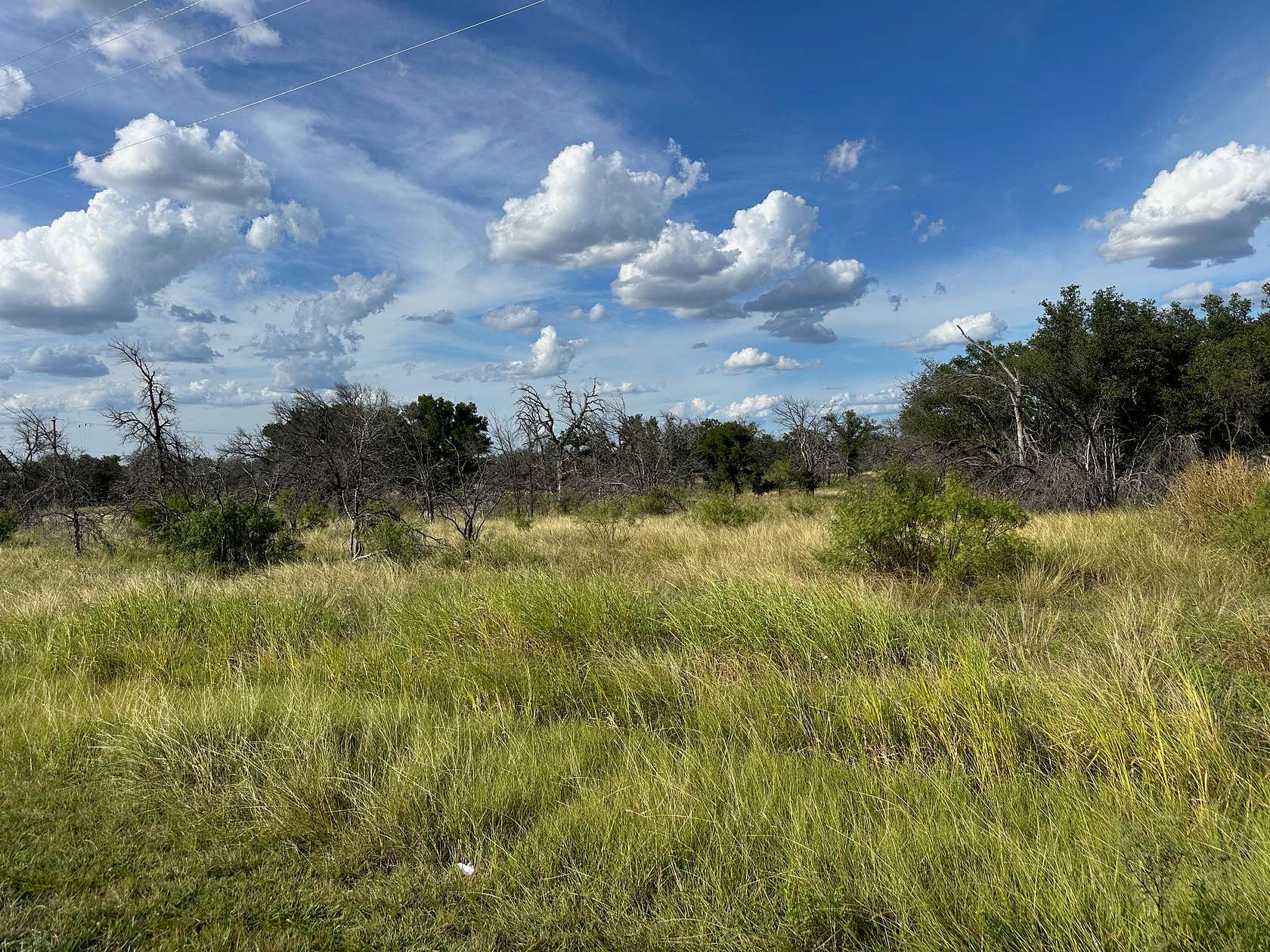 0.37 Acres of Residential Land for Sale in Brownwood, Texas