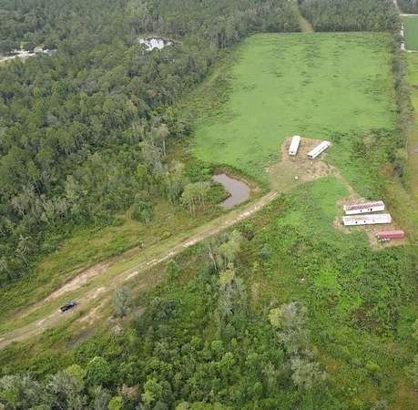 22 Acres of Land for Sale in Ambrose, Georgia