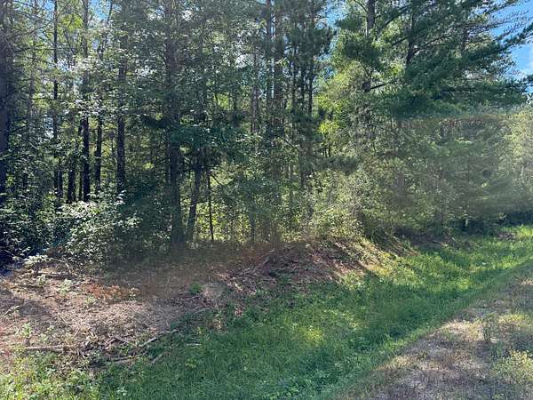 6.6 Acres of Residential Land for Sale in Laporte, Minnesota