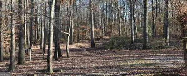 3.75 Acres of Mixed-Use Land for Sale in Hoschton, Georgia