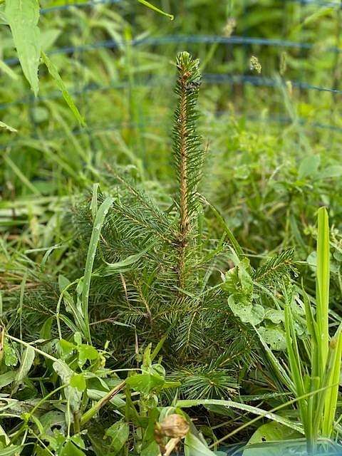 56.4 Acres of Land for Sale in Hoosick Falls, New York