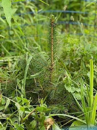 56.4 Acres of Land for Sale in Hoosick Falls, New York