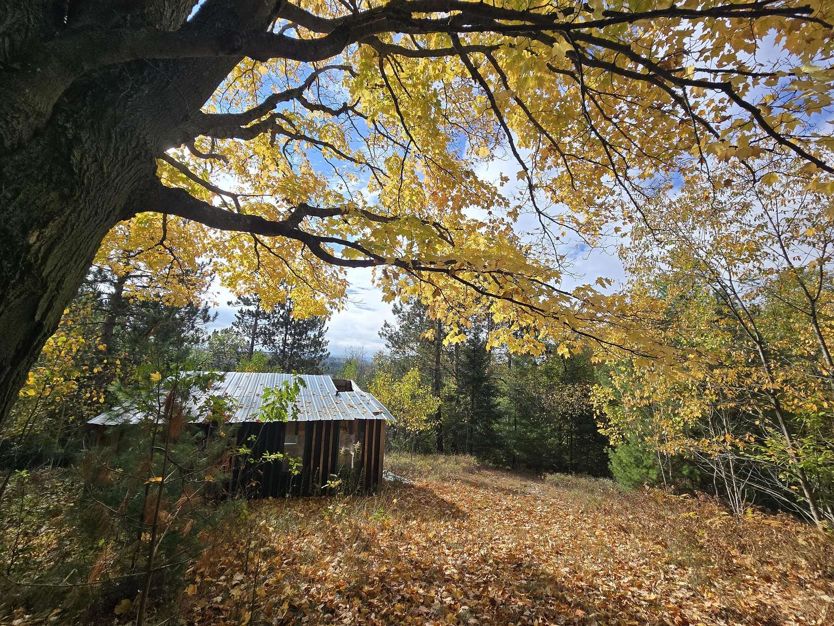 40 Acres of Recreational Land for Sale in Fairview, Michigan