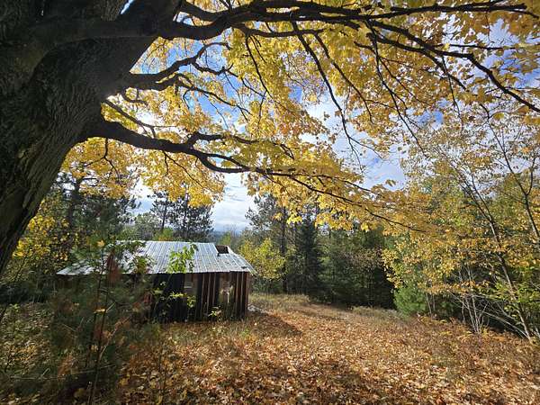 40 Acres of Recreational Land for Sale in Fairview, Michigan