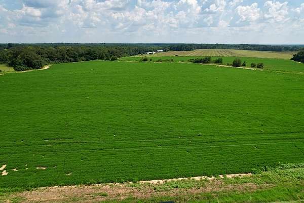 10.1 Acres of Land for Sale in Newton, Alabama