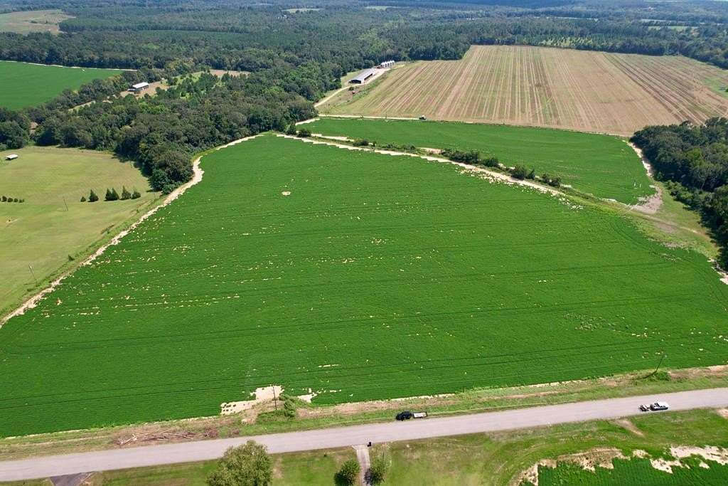 2 Acres of Residential Land for Sale in Newton, Alabama
