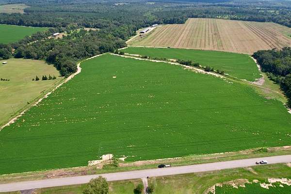 2 Acres of Residential Land for Sale in Newton, Alabama