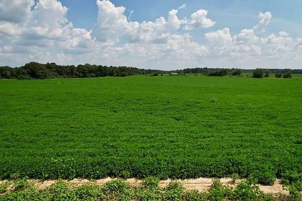 2 Acres of Residential Land for Sale in Newton, Alabama