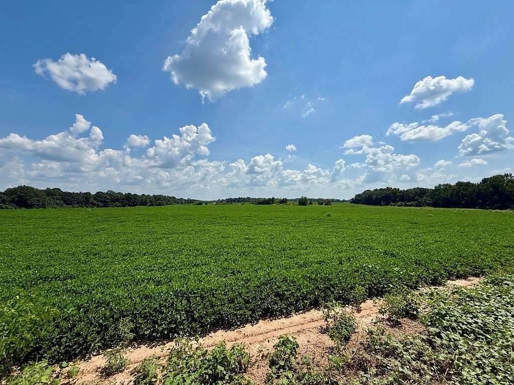6.6 Acres of Residential Land for Sale in Newton, Alabama