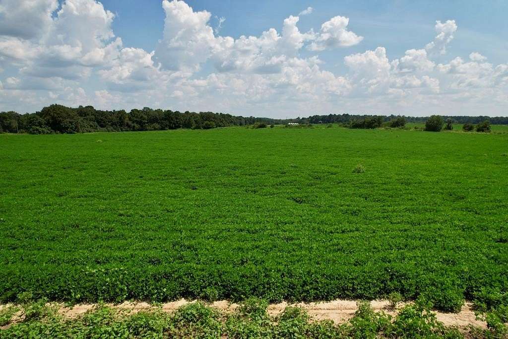 1.7 Acres of Residential Land for Sale in Newton, Alabama