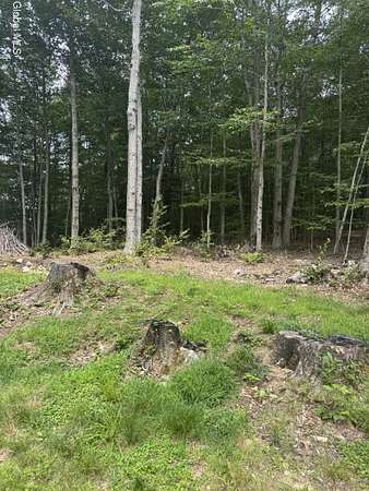 0.14 Acres of Land for Sale in Middle Grove, New York