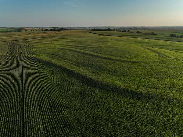 20 Acres of Agricultural Land for Sale in Murdock, Nebraska