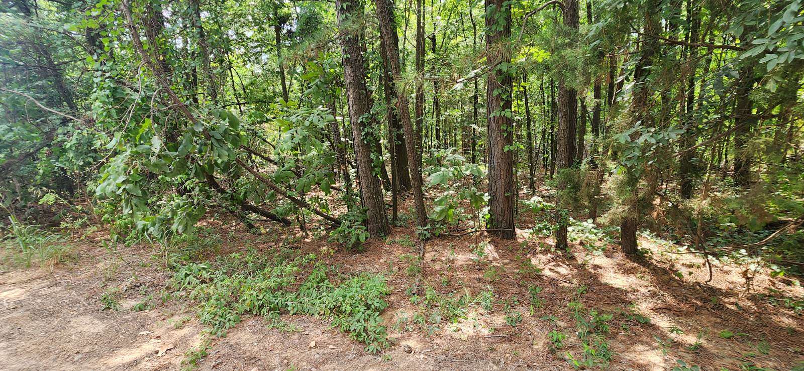 1.39 Acres of Land for Sale in Hooks, Texas