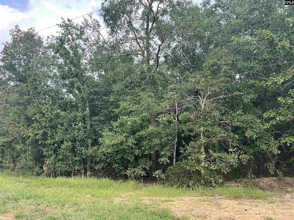 5.9 Acres of Residential Land for Sale in Pelion, South Carolina