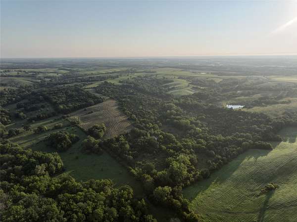 79 Acres of Recreational Land & Farm for Sale in Leon, Iowa