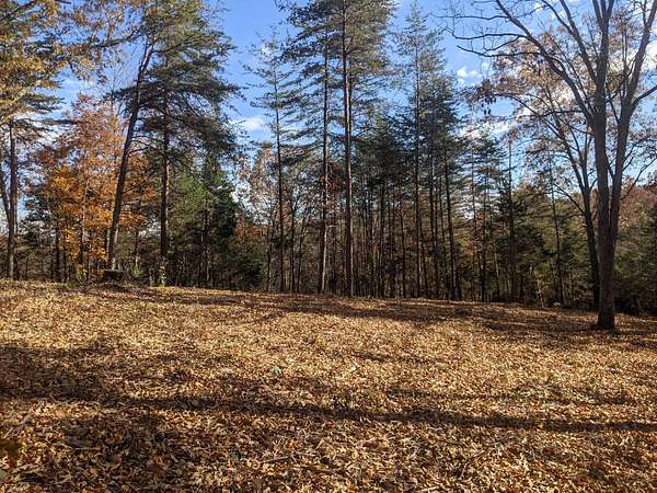 3 Acres of Land for Sale in Burkesville, Kentucky