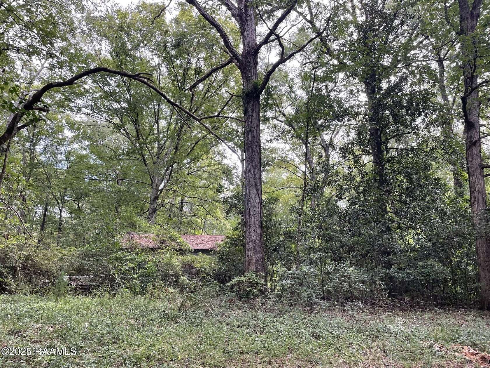 4 Acres of Residential Land for Sale in Oakdale, Louisiana