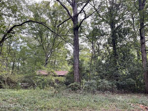 4 Acres of Residential Land for Sale in Oakdale, Louisiana