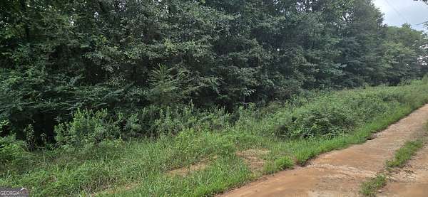 1.62 Acres of Residential Land for Sale in Bowman, Georgia