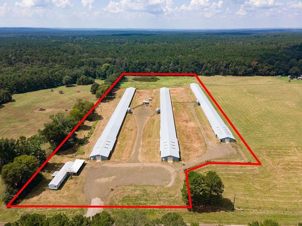12.3 Acres of Agricultural Land for Sale in San Augustine, Texas