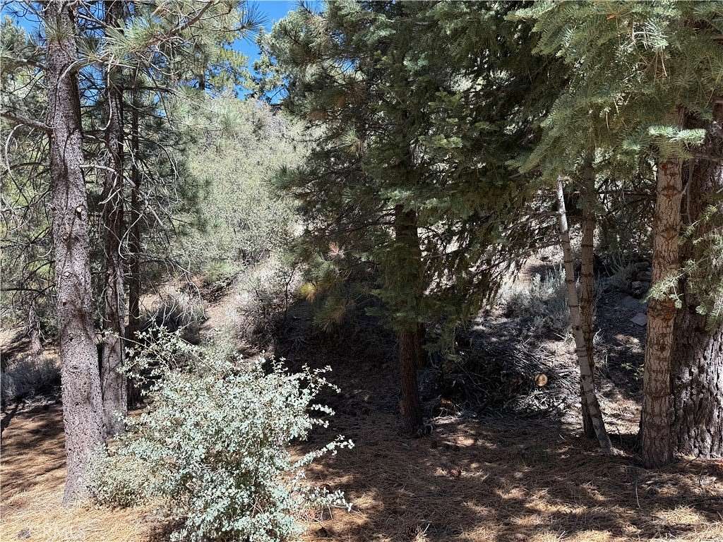 0.25 Acres of Land for Sale in Pine Mountain Club, California