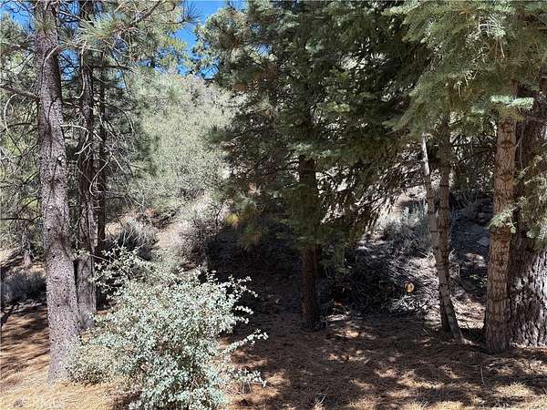 0.25 Acres of Land for Sale in Pine Mountain Club, California