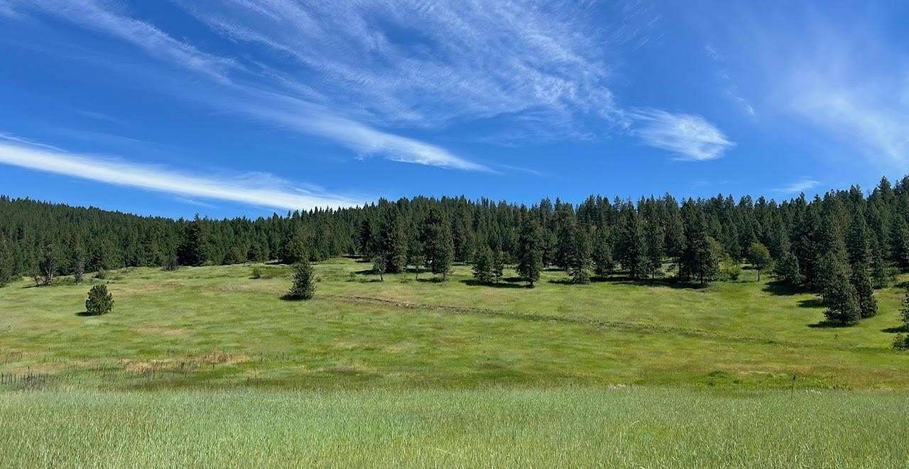 29 Acres of Land for Sale in Rice, Washington