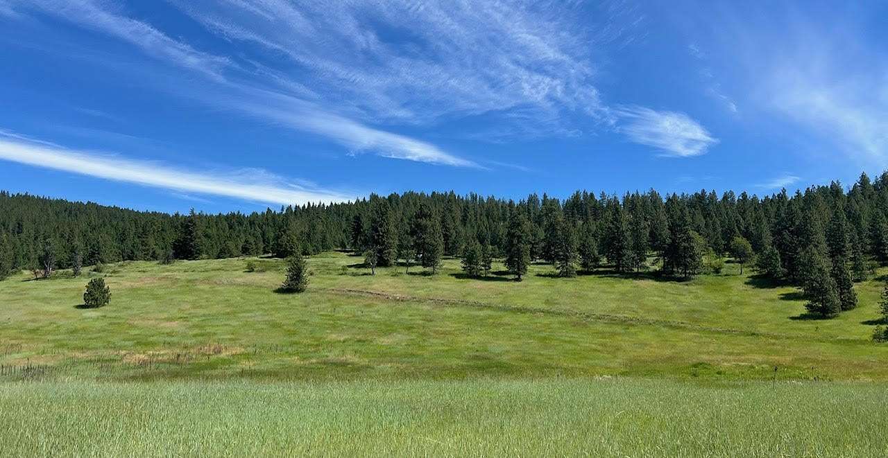 29 Acres of Land for Sale in Rice, Washington