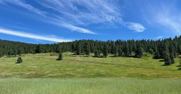 29 Acres of Land for Sale in Rice, Washington