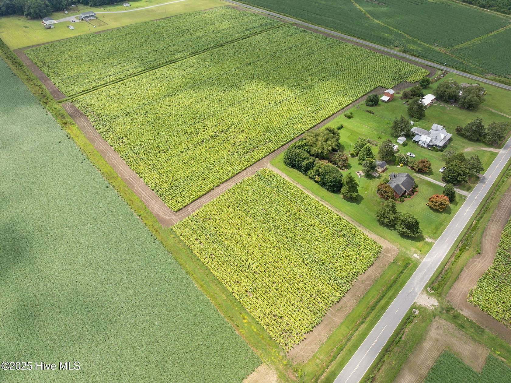 8.47 Acres of Residential Land for Sale in Fountain, North Carolina