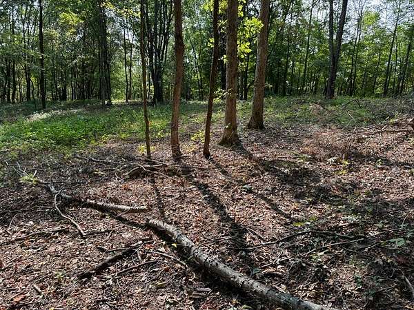 55 Acres of Land for Auction in Williamsport, Tennessee