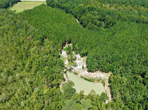 75.7 Acres of Land for Sale in Estill, South Carolina