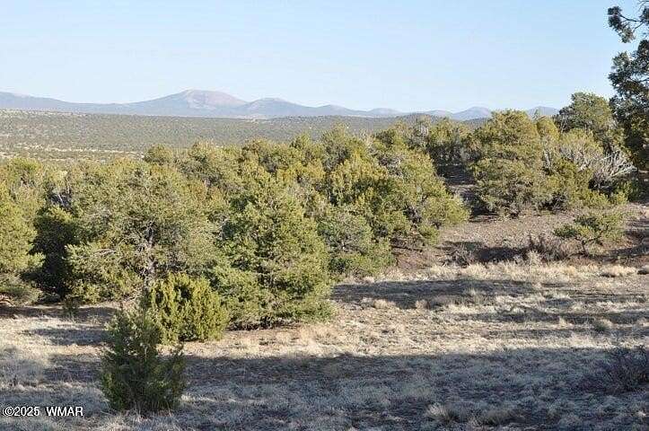 23 Acres of Land for Sale in Concho, Arizona