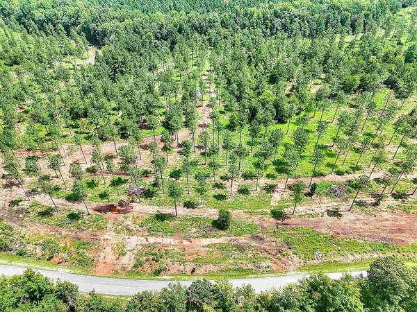 10 Acres of Recreational Land for Sale in White Plains, Georgia