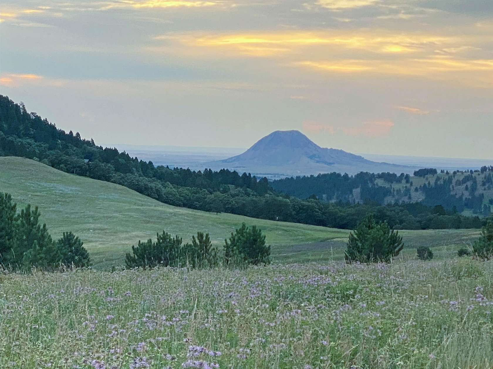 150 Acres of Recreational Land for Sale in Whitewood, South Dakota