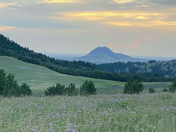 150 Acres of Recreational Land for Sale in Whitewood, South Dakota