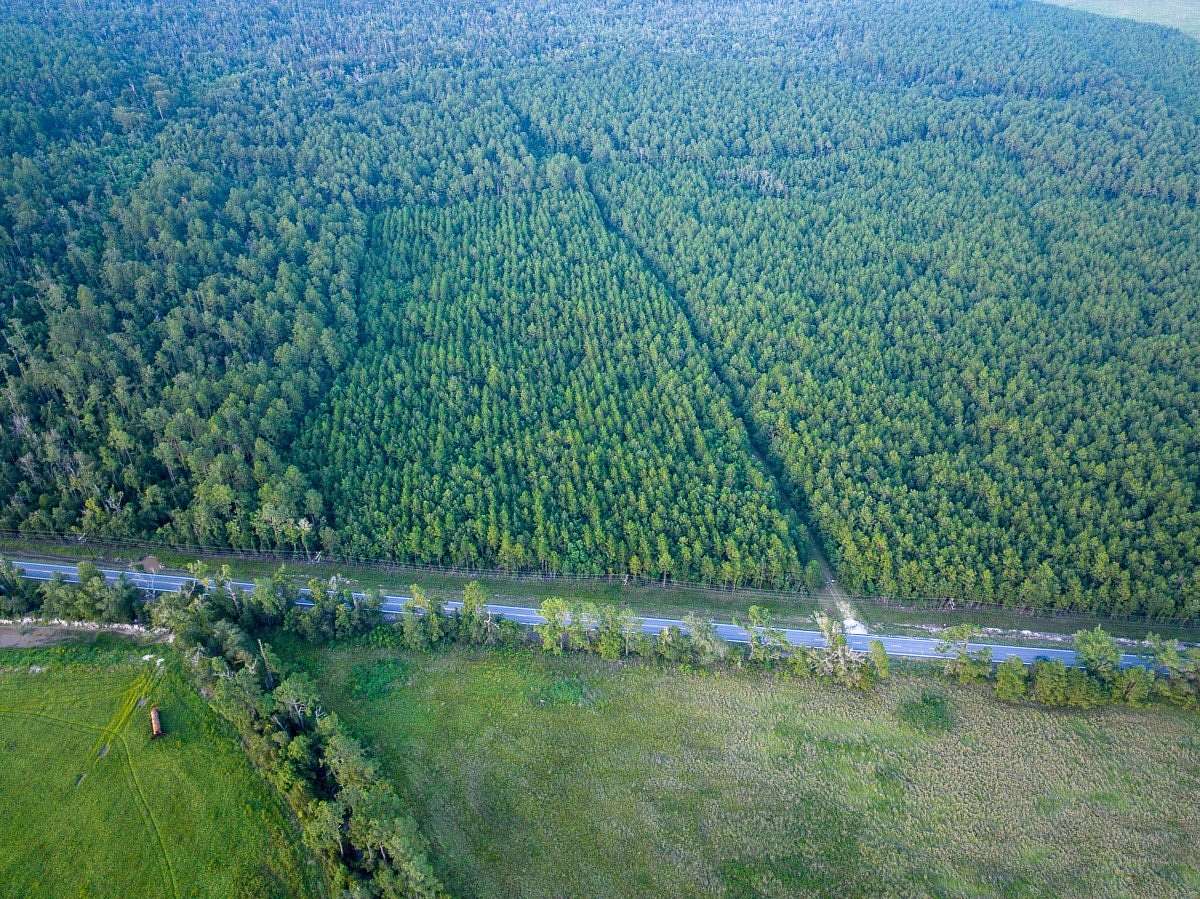 81 Acres of Recreational & Residential Land for Sale in Lake Charles, Louisiana