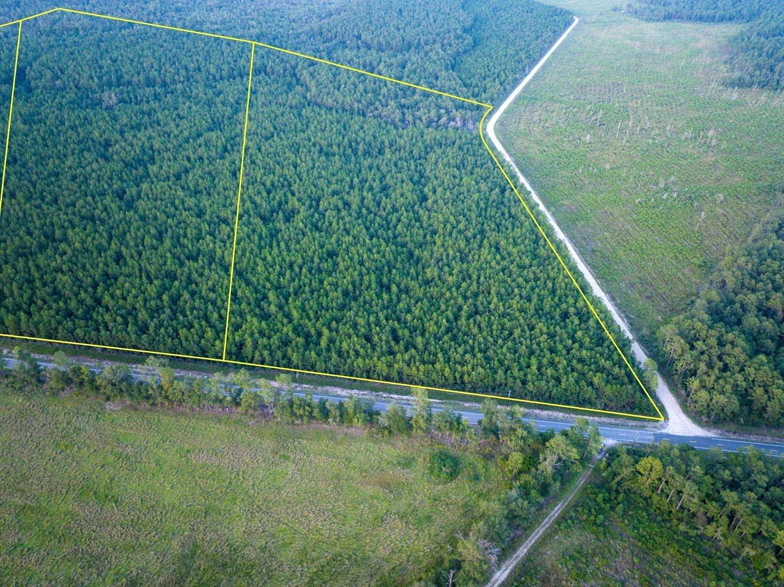 81 Acres of Recreational & Residential Land for Sale in Starks, Louisiana
