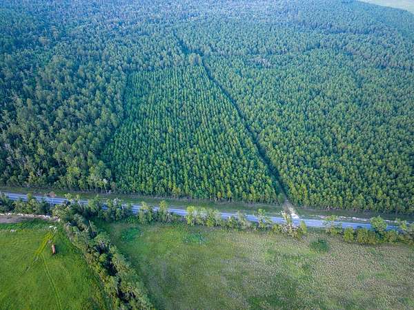 81 Acres of Recreational & Residential Land for Sale in Lake Charles, Louisiana
