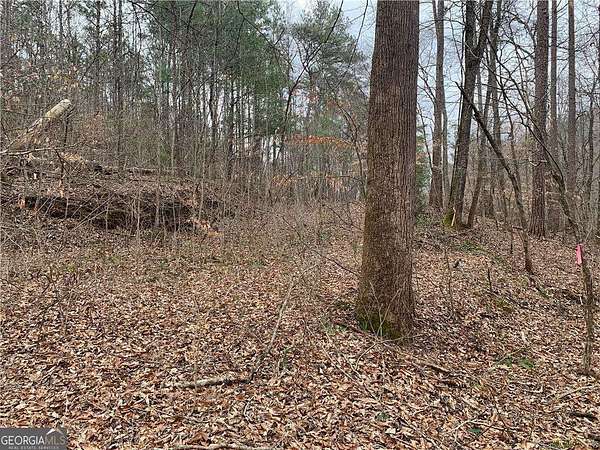 1.49 Acres of Residential Land for Sale in Ranger, Georgia