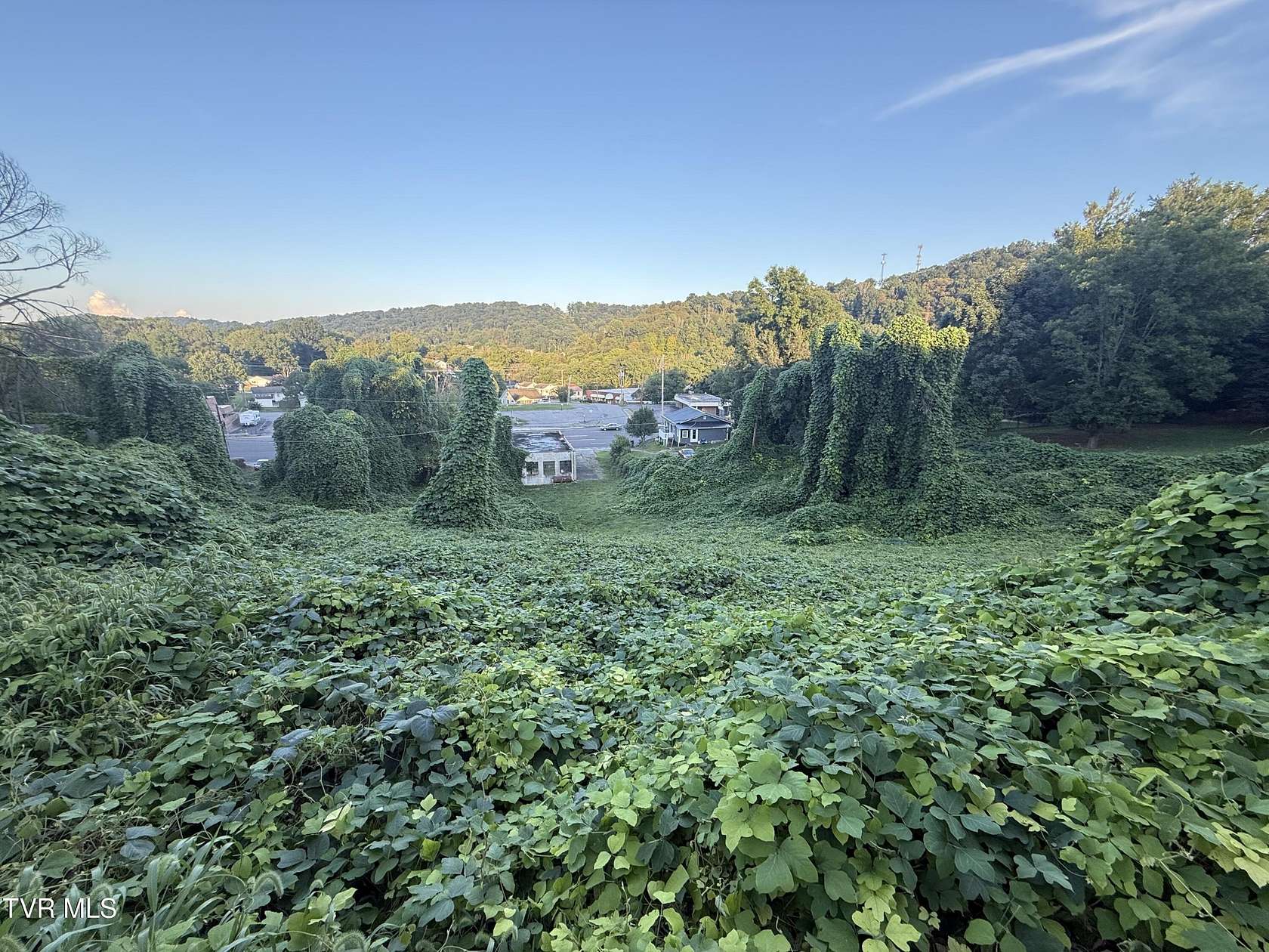 0.26 Acres of Residential Land for Sale in Kingsport, Tennessee